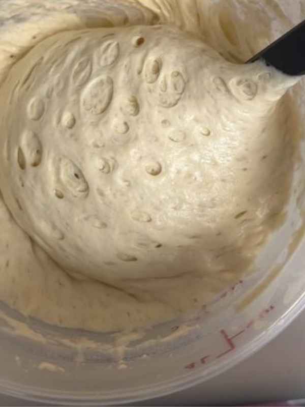 Maintaining-Your-Starter