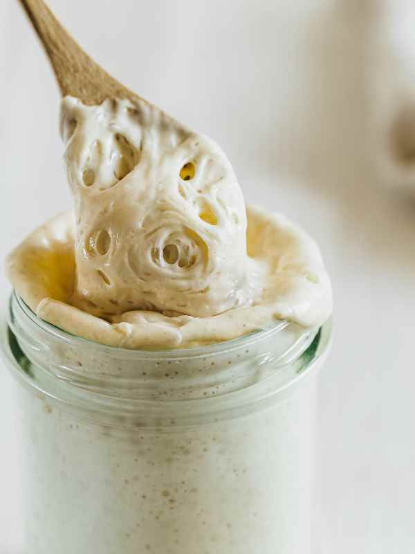 Stir-the-Sourdough Starter-daily