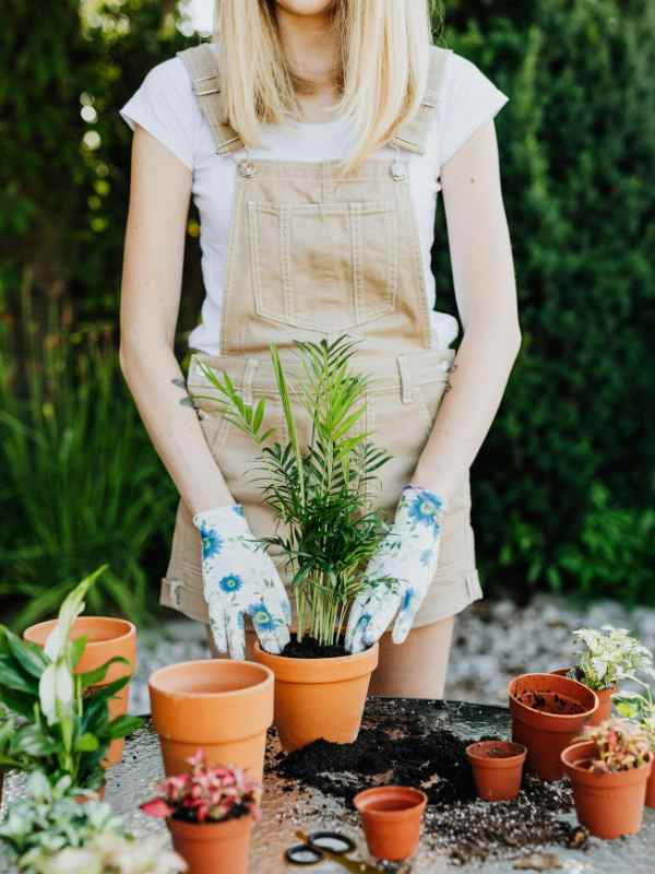 Start-a-Small-Gardening-or-Plant-Project.