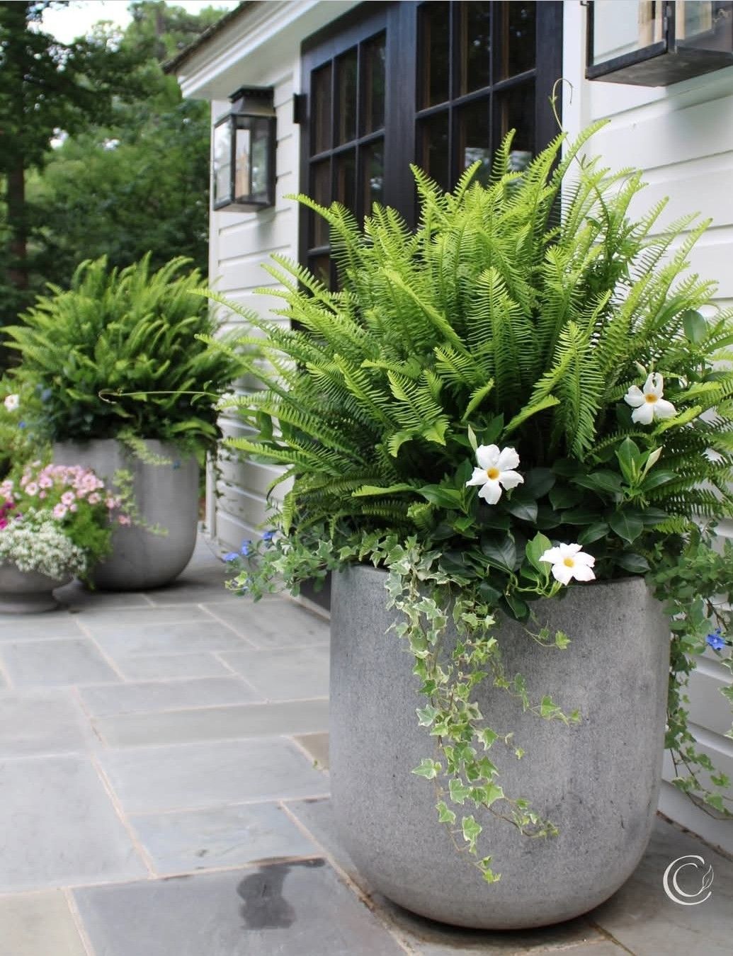 Where-and-Why-to-Put-Each-Planter.