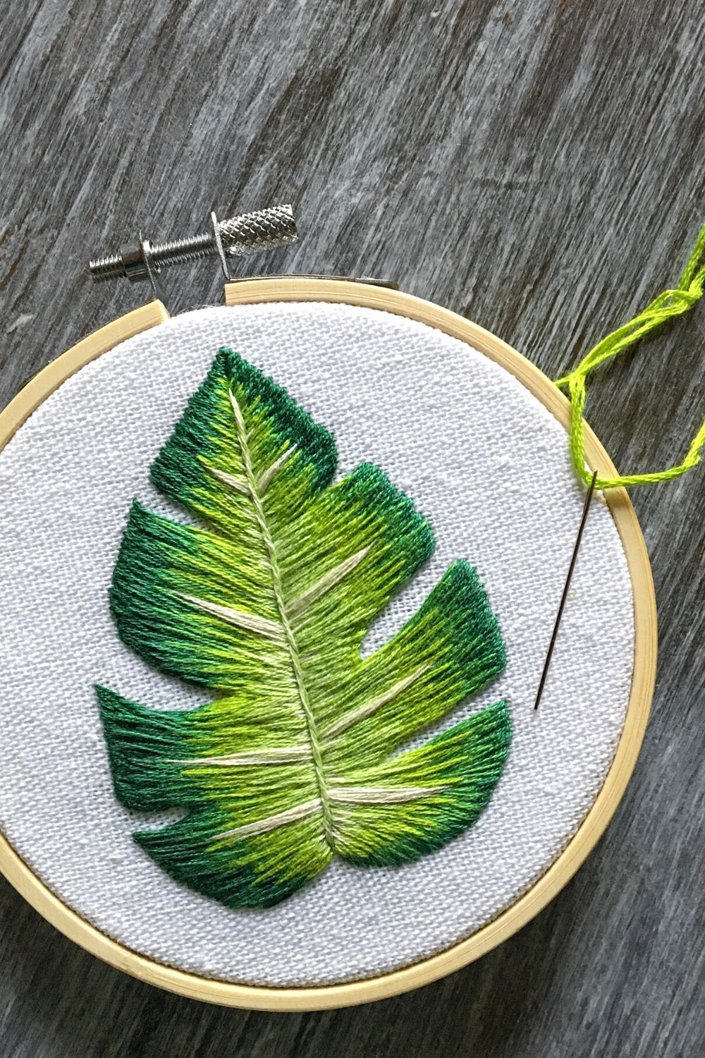 Single-Botanical-Leaf-Monstera-or-Fern