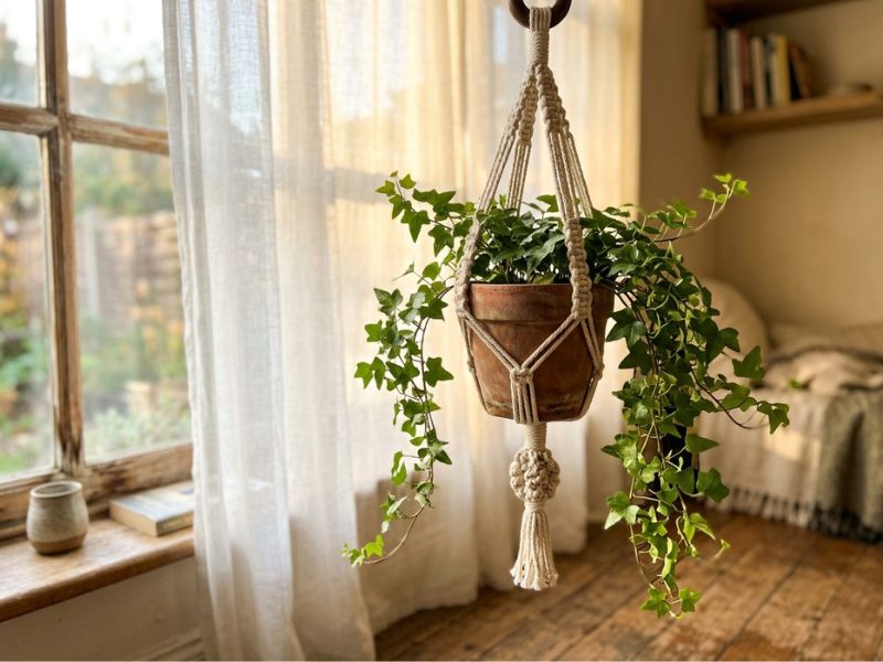 how-to-make-a-macrame-plant-hanger.