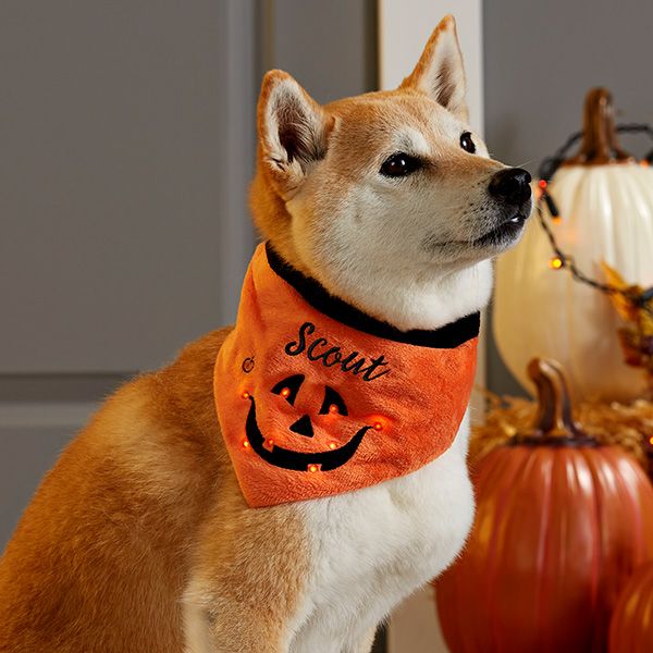 Custom -Pet- Bandanas- or -Costumes