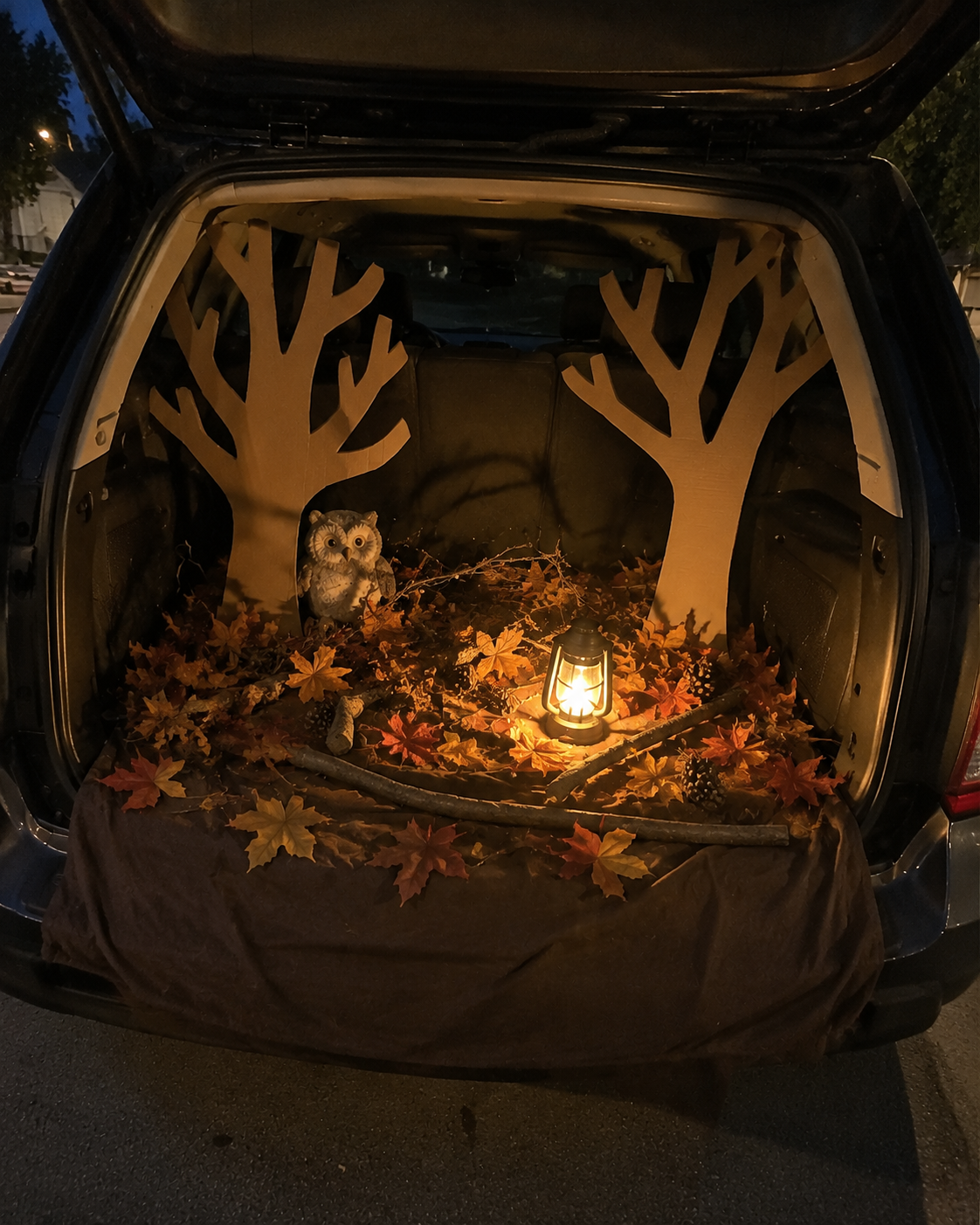 Autumn-woodland-scene-in-the-trunk.