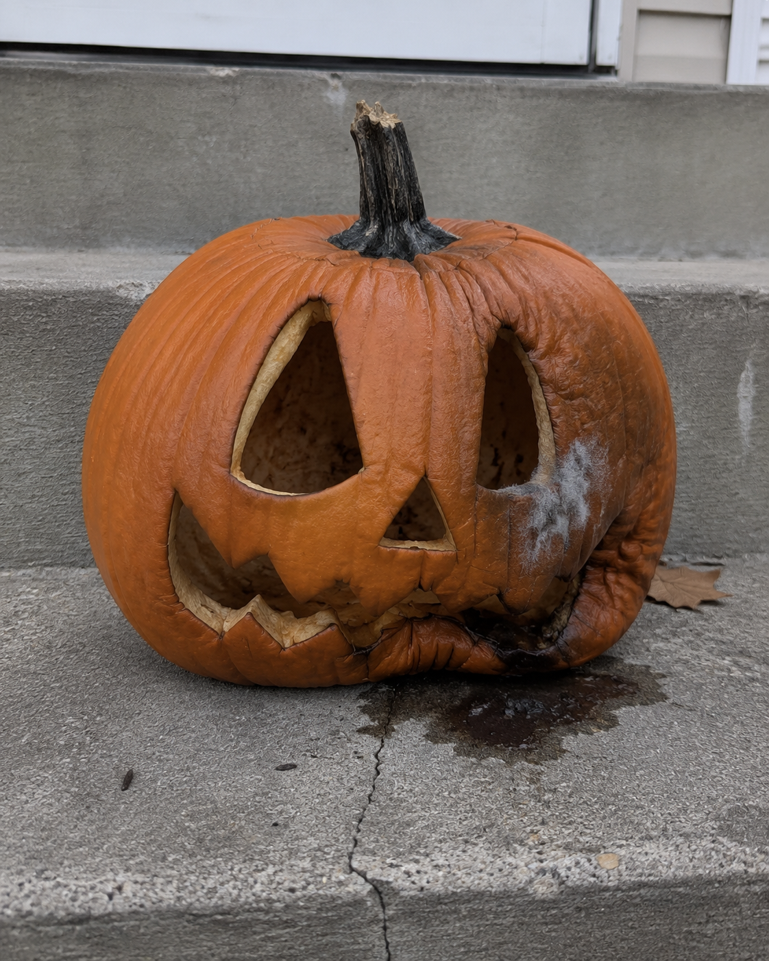 Signs-Your-Pumpkin-Has-Gone-Past-the-Point-of-Any-Use