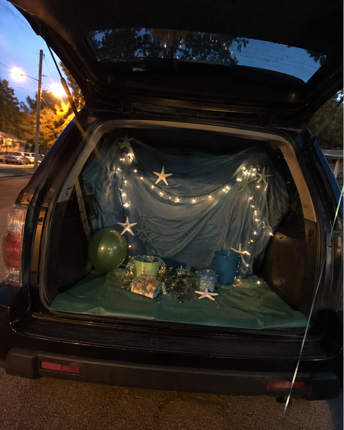 The-Nothing-New-Trunk.
